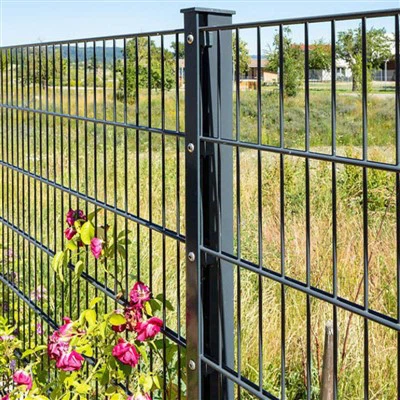 PVC Double Wire Mesh Fence